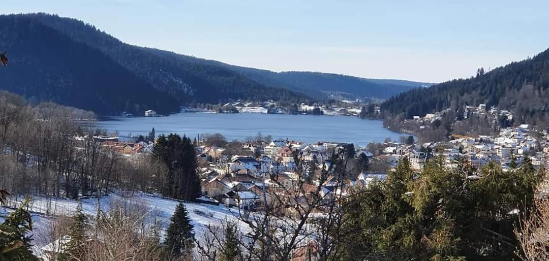 Le Petit Vosgien Apartment Gérardmer Exterior foto